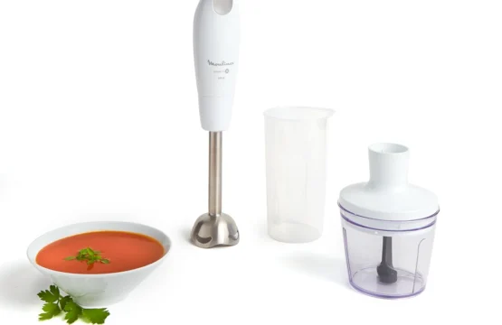 Pied Mixeur MOULINEX Daily chef 600 W-Blanc
