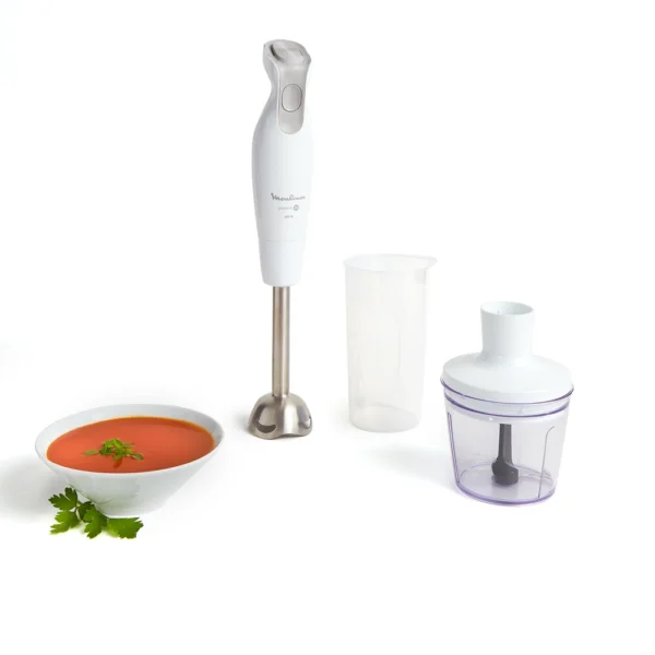 PIED MIXEUR MOULINEX Daily chef 600 W-Blanc DD552110
