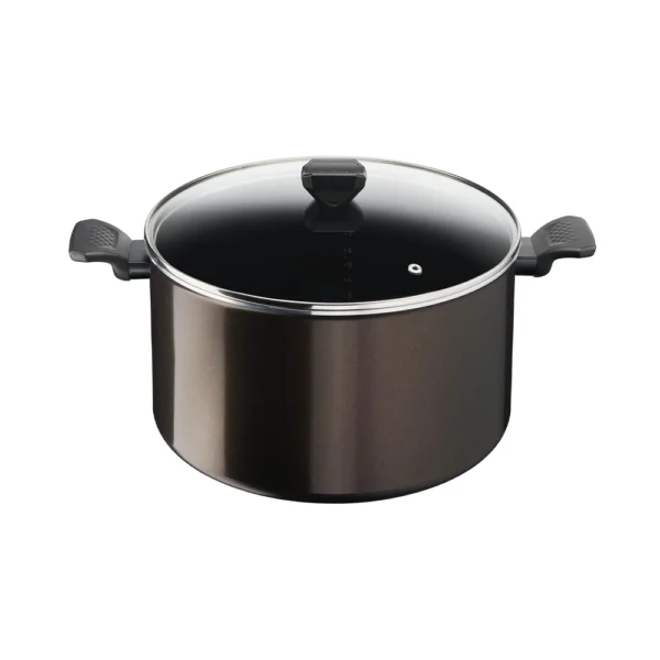 TEFAL EASY COOK ET CLEAN Marmite 30 cm (12,2 L) antiadhésive + couvercle B5546902