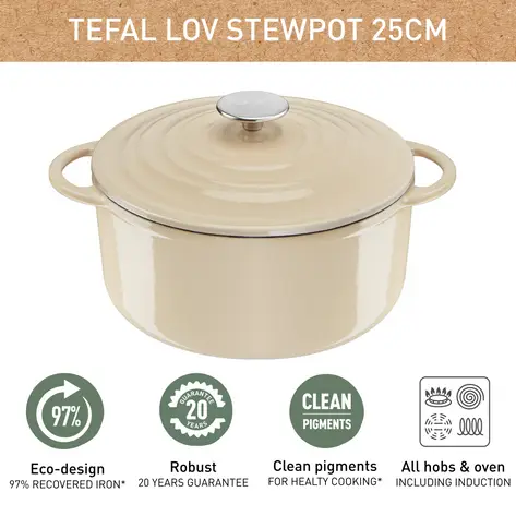 Digital LOV Stewpot 25cm EE2590404 2100128203 PWC1