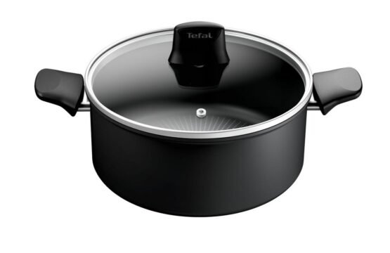 Marmite Tefal 24 cm Antiadhésive avec Couvercle